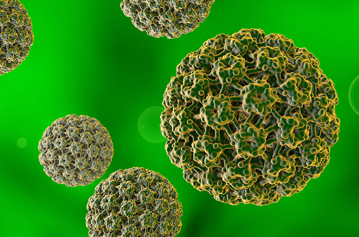 5 grüne HPV auf grünem Hintergrund