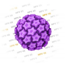 Biomarker-Test L1 (Selbstzahler und PKV)