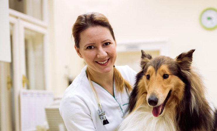 Tierärztin mit Chefarztbehandlung